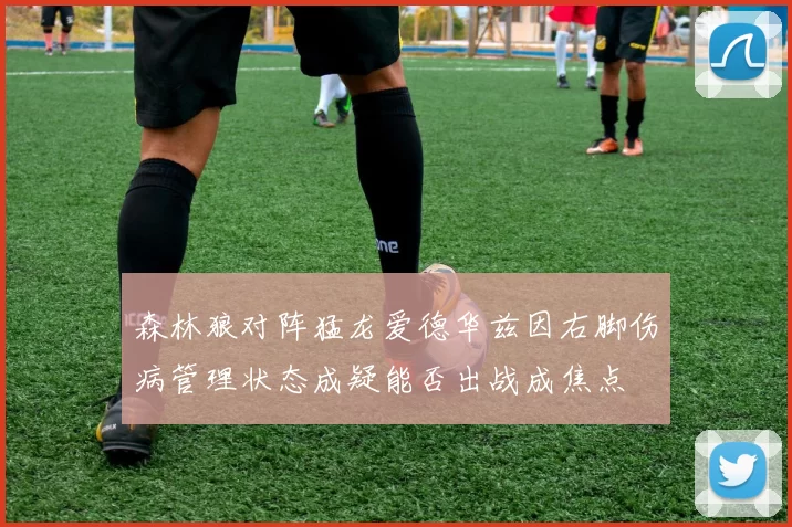 森林狼对阵猛龙爱德华兹因右脚伤病管理状态成疑能否出战成焦点